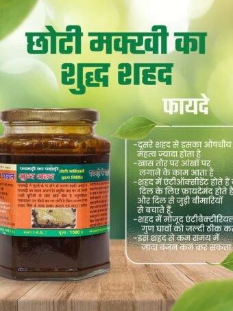 Small Honey bee  | छोटी मक्खी का शहद