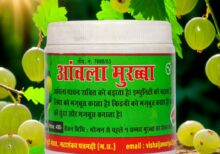 Amla murabba | आंवला मुरब्बा